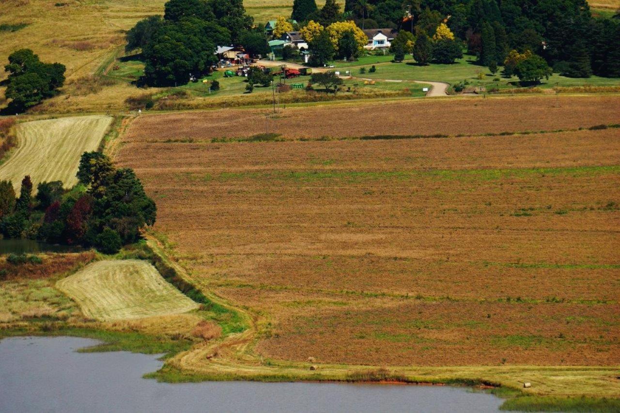 Bell Park Self Catering Bed & Breakfast Champagne Valley Екстериор снимка